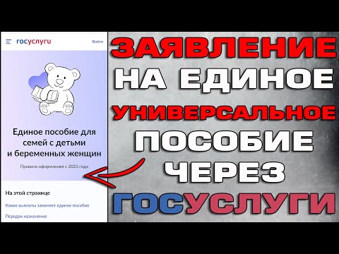 , title : 'Заявление на Единое пособие на детей с 0 до 17 лет через госуслуги Как подать'