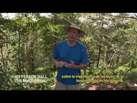 Jefferson Hall _What is Agua Salud?