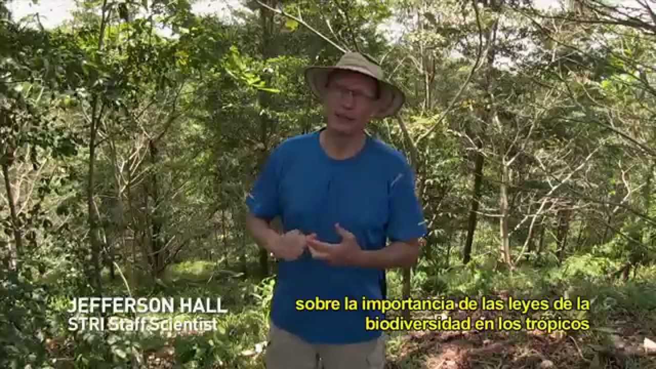 Jefferson Hall _What is Agua Salud?