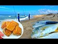 I CATCHED And PREPARED The TASTIEST FISH In The WORLD Beach Fishing With Natural Baits