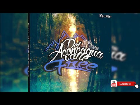 Full álbum Pipostega-( Aconcagua Valle Free )