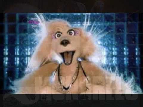 Mongrels - Ugly Women Are Beautiful Too - Destiny