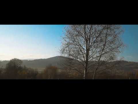 LR 11 -  Mountain Bird (Music Video)