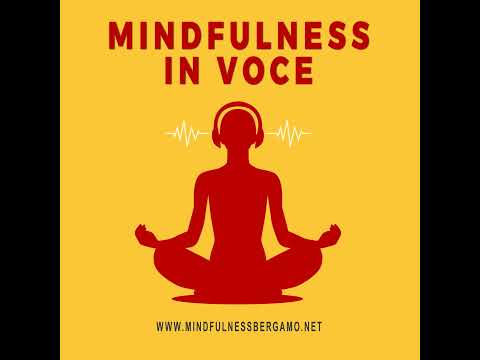 Episodio 452: Tu Sei Pura Consapevolezza