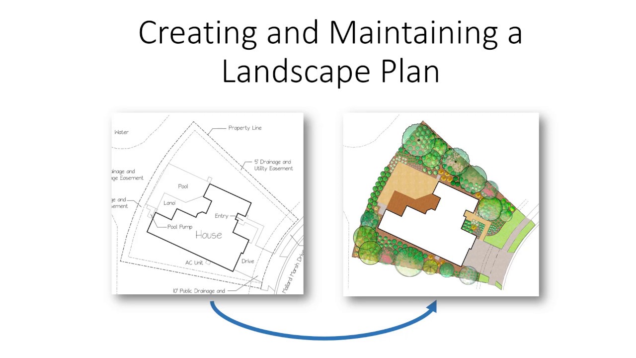 Creating and Maintaining a Landscape Plan