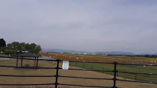 【旅先】てんてれ、轟音を初見。