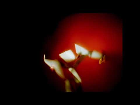 Prezentacje WFO (5): Kineformy A. Pawłowskiego