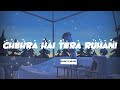 Chehra Hai Tera Ruhani TikTok Vairal Song 2024