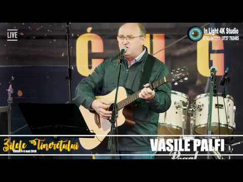 Vasile Palfi - Au înnebunit salcamii (cover) Autor - Tudor Gheorghe