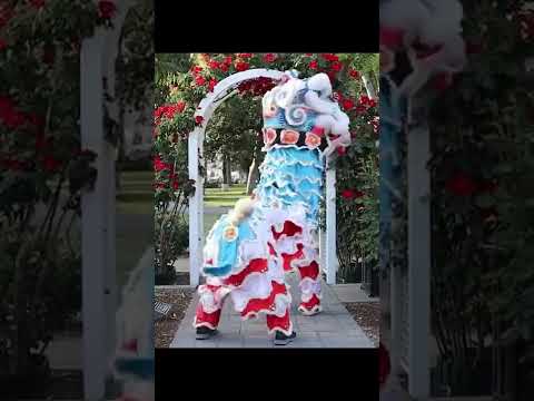 Mei Shui does the #staychallenge
