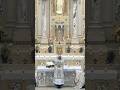 Eucharistic Prayer Ad Orientem #catholicchurch #catholicmass #eucharist