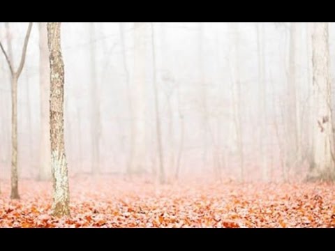 Autumn - Ryan Stewart