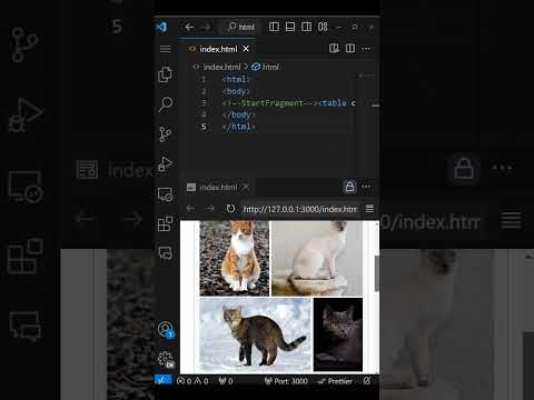 Cats + HTML
