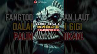 Download lagu Fangtooth Fish: Ikan Laut Dalam dengan Gigi Paling Mengerikan! #shorts #fish #ikanlaut #ngerii #fyp mp3