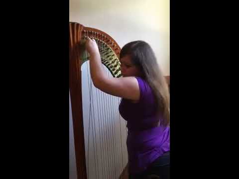 How to change a wire string on a harp - Houston Harp Music