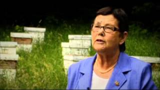preview picture of video 'La vie des abeilles au Domaine Apicole de Chezelles'