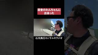 田舎のわんちゃん #八女市 　#祭り
