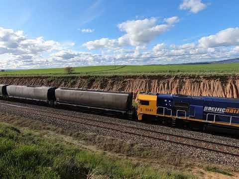 8223, 18, 39 & 41 at Glanmire NSW.  Thu 24th Sep 2020