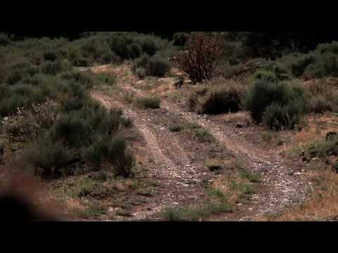 New Mexico PBS "Moments in Time": The Last Hurdle:  El Camino Real de Tierra Adentro