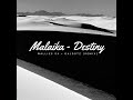 Malaika - Destiny (Wallies SA x Dalootz)