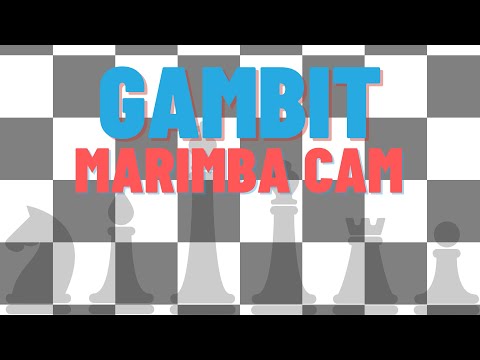 Plymouth-Canton Winter Percussion 2022 - Gambit - Marimba Cam