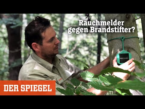 Kampf gegen Waldbrände: Versteckte Rauchmelder gegen Brandstifter? | DER SPIEGEL