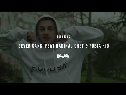 FLEXKING feat. RADIKAL CHEF & FOBIA KID - SEVER GANG |Official Audio|