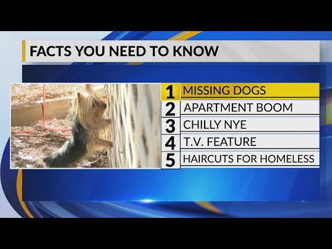 December 31, 2019 Five Facts