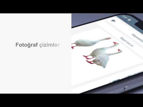 Almanca öğren Video