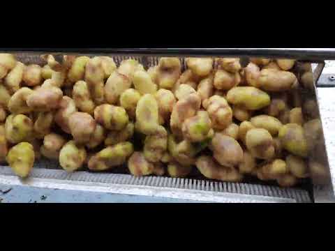 Onion Peeling Machine