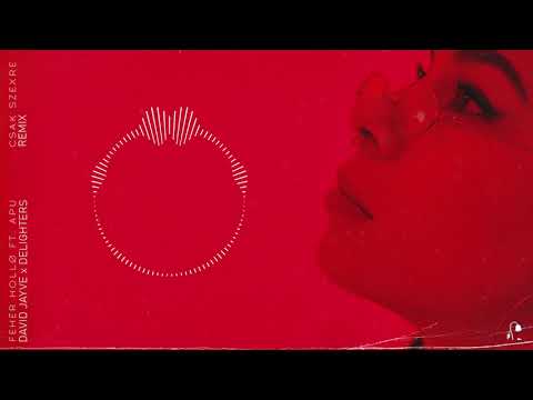 fehér holló x apu - csakszexre (David Jayve x Delighters Remix) [Official Remix]