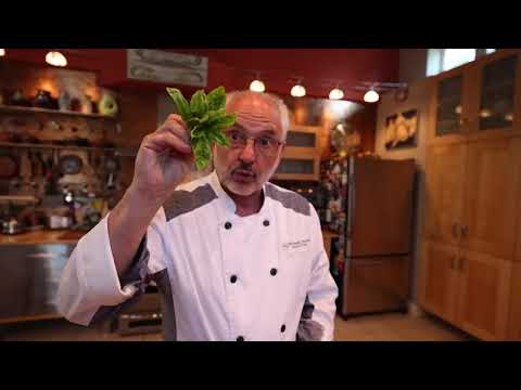 Spaghetti Alla Nerano