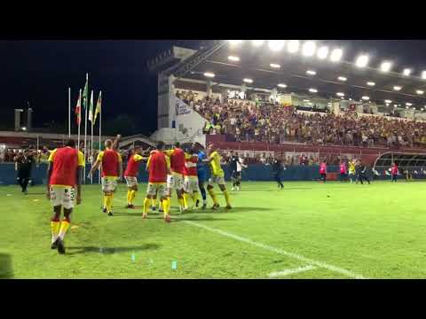 GOLAÇO DO EMPATE DO BRUSCÃO NO 1 X 1 CONTRA O TIGRE #futebol #brusquefc #futebolcatarinense