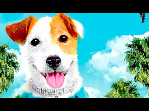 PANCHO: El Perro Millonario (Trailer español)