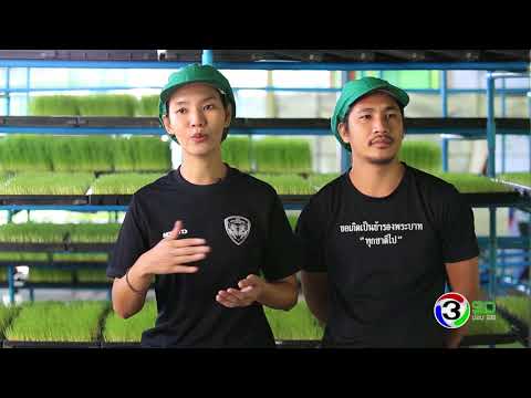 ความคิดเห็นเกี่ยวกับเพศหญิง Exciter Rendez vous แรงรากอัลไต