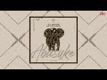 DJY Jaivane - Abasuke ft. Scotts Maphuma (Official Visualizer)