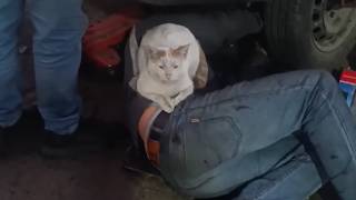 UNUSUAL MEMES COMPILATION V350