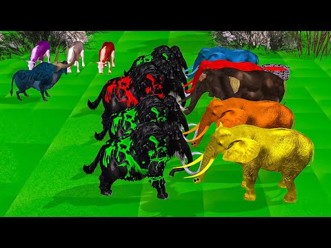 evil elephant vs black mammoth elephant animal fight revolt cartoon videos saved buffalo and cow