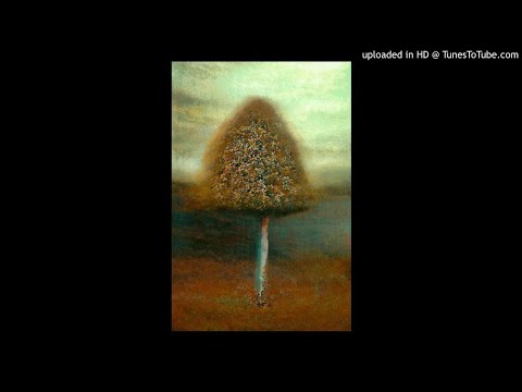 FREE "Dark Harp" Lil Tracy Type Beat [432hZ]