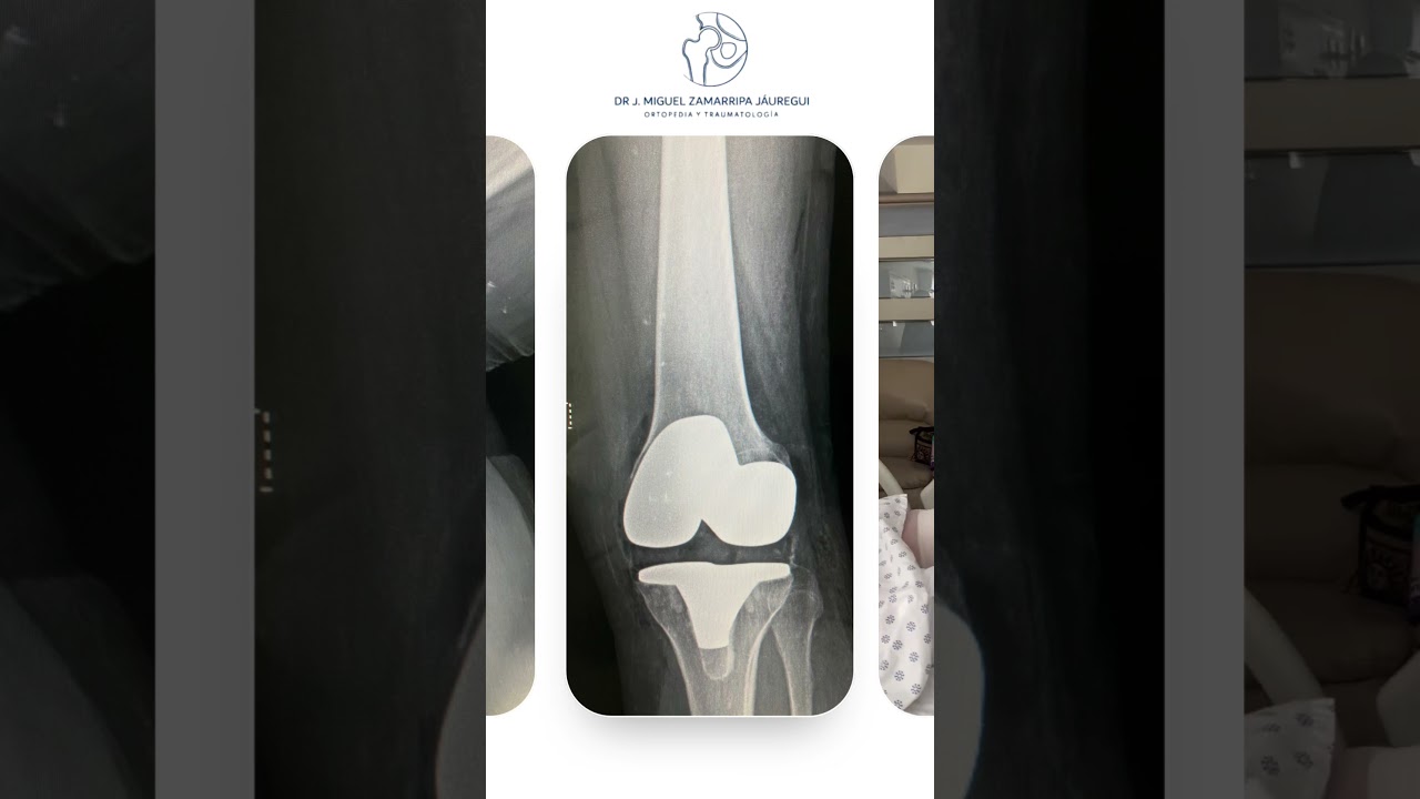 J. Miguel Zamarripa Jáuregui-29