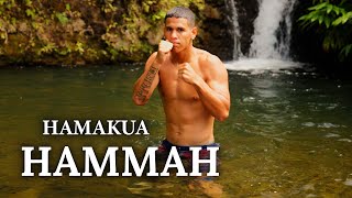 HAMAKUA HAMMAH | Diesel Storm