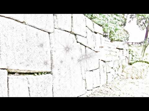 Bumper Tag　2:52　John Deley