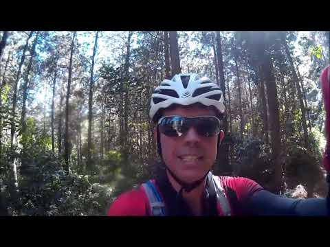 Polenta Off Road 2019