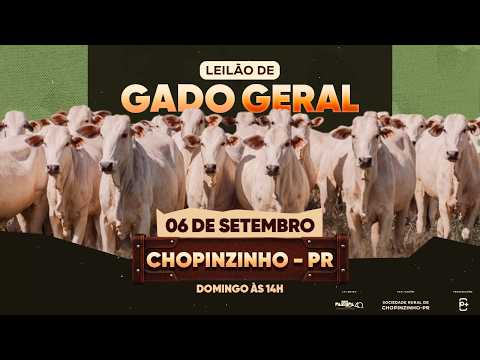 Leilão de Gado Geral, CHOPINZINHO/PR - 06/09/2026 14:00h