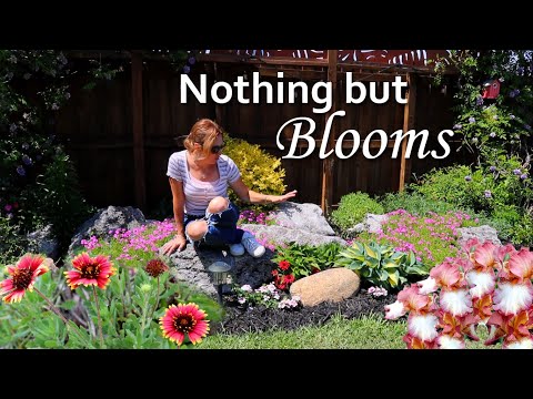 What's blooming in my garden RIGHT NOW! | Iris, Primrose and more!