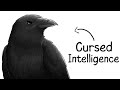 Why It Sucks To Be Born As A Crow