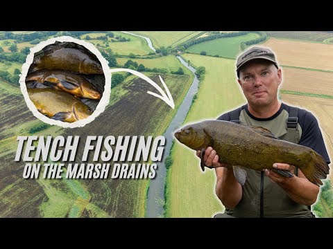 Tench Fishing on the marsh drains | River tench | Korum