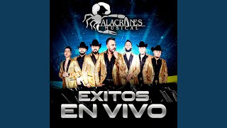 Por Tu Amor (En vivo)