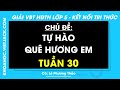 Vở bài tập Hoạt động trải nghiệm Lớp 5 Tuần 30 - trang 66, 67