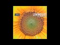Lemongrass - Connect You
